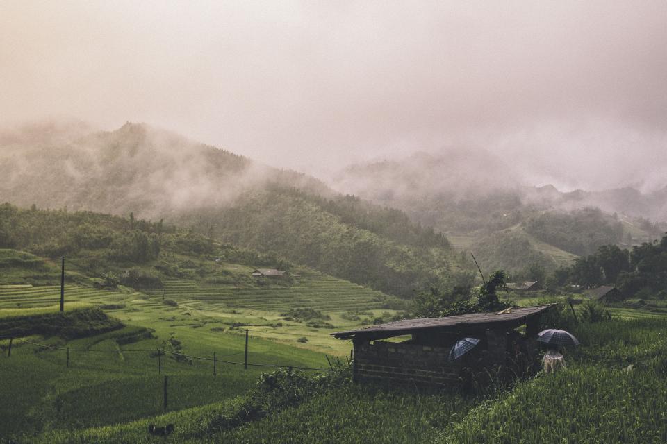 Nature Landscape