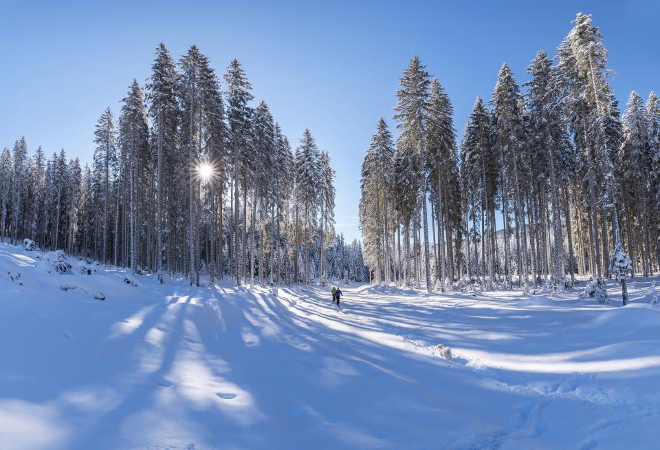 Nature Landscape