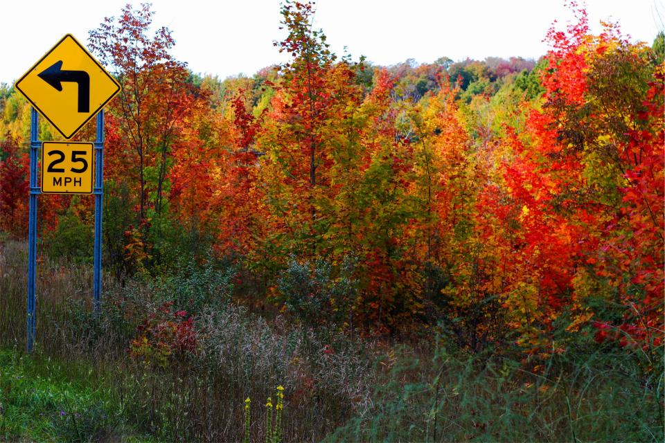 Autumn Fall