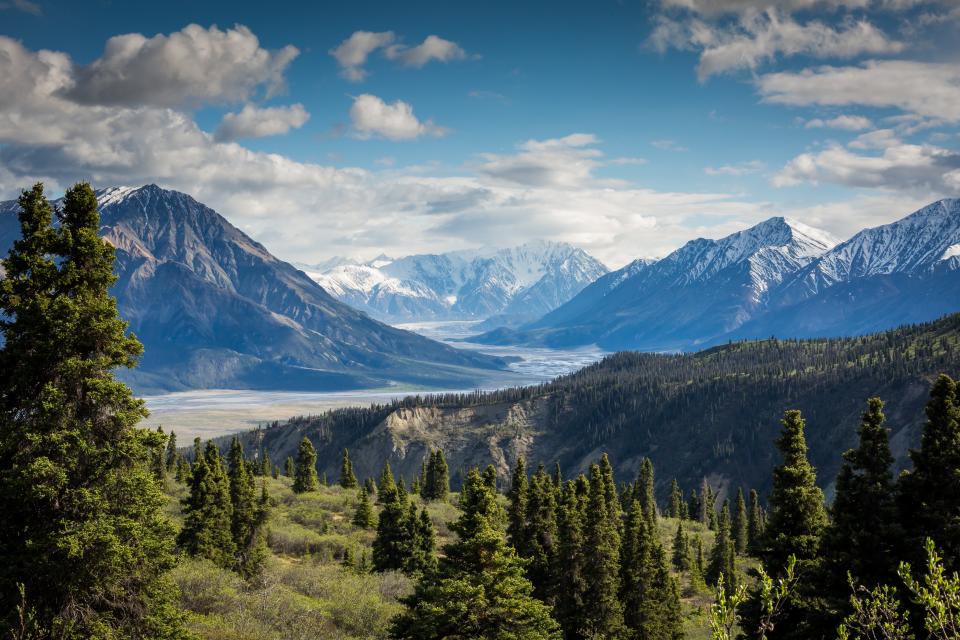 Nature Landscape