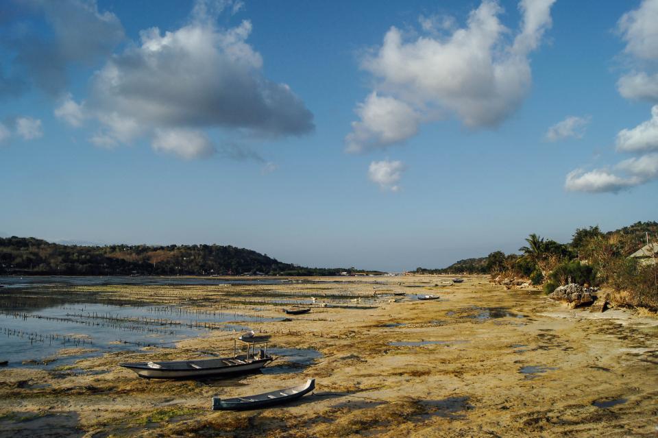 Nature Landscape