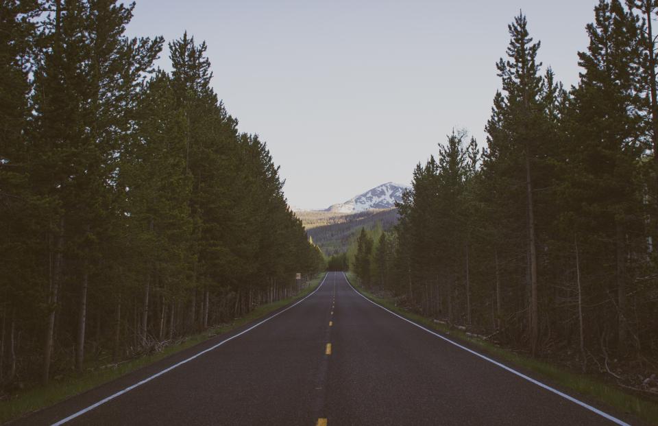 Road Path