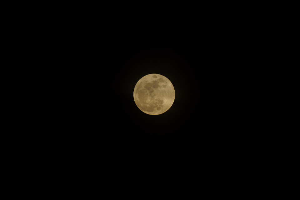 Moon Night