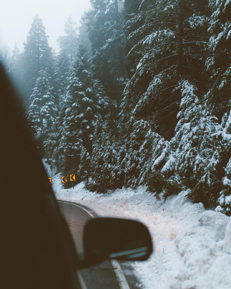 Snow Winter