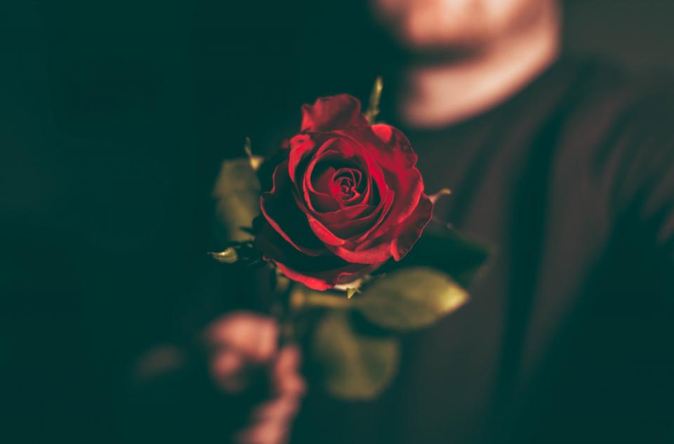 Flower Red