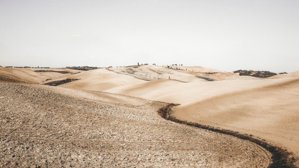 Nature Landscape