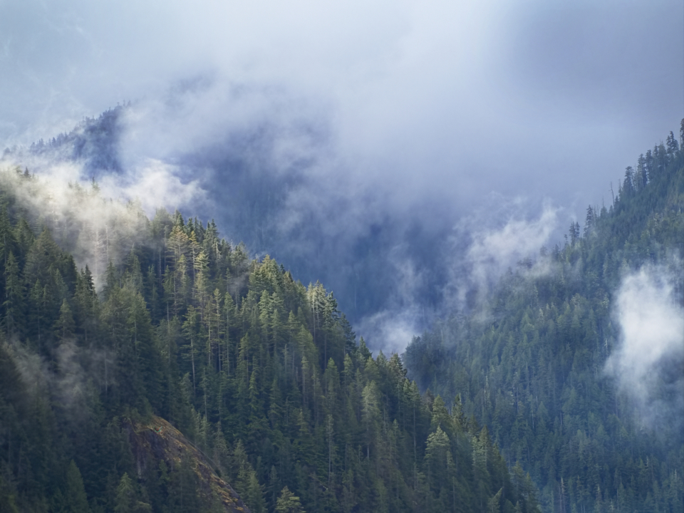 Misty Mountains