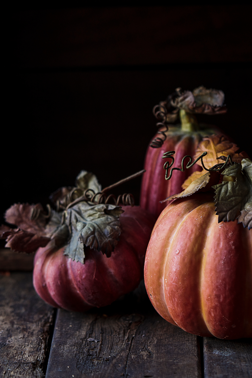 Fall Pumpkins