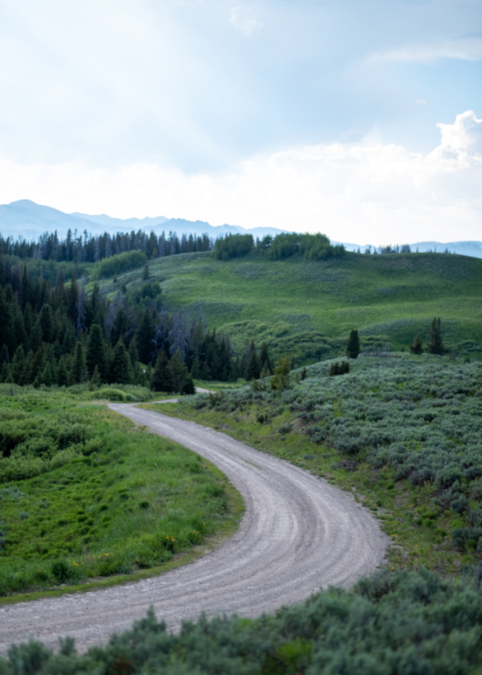 Rural Road
