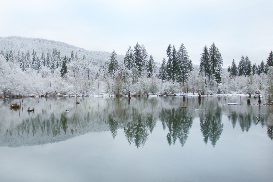 Winter Pond