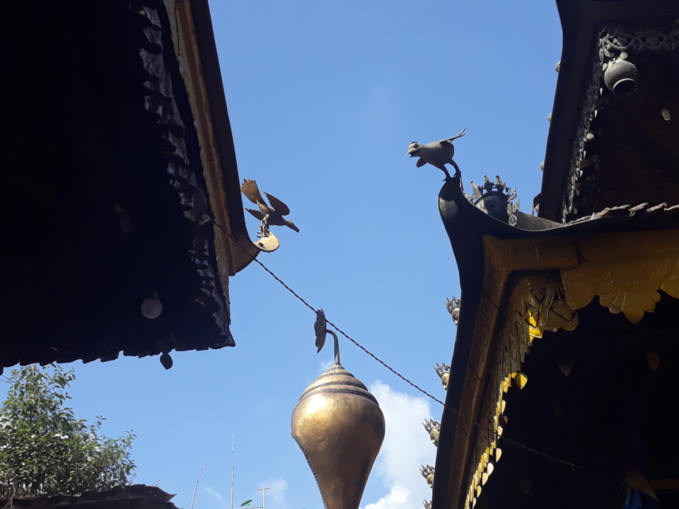 Bird History