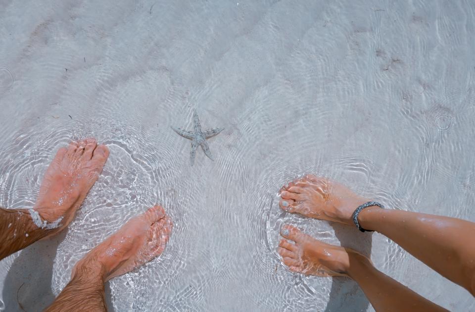 Sea Ocean