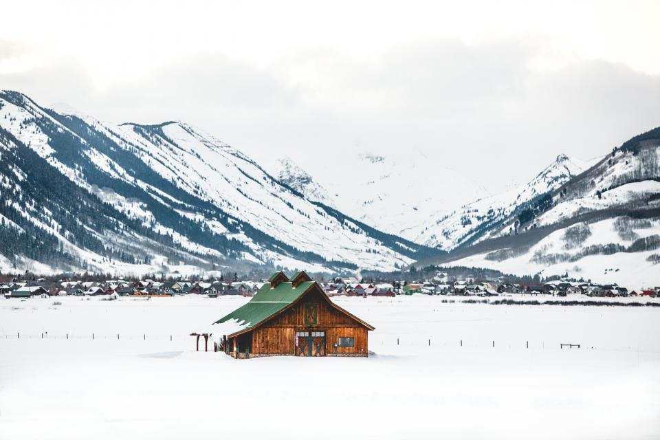 Snow Winter
