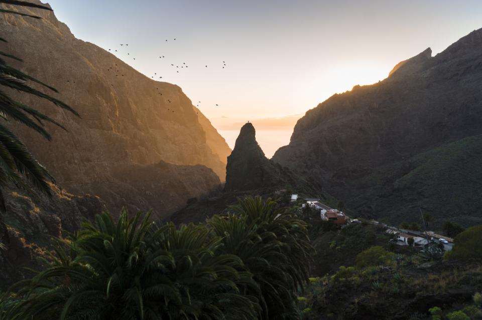 Nature Landscape