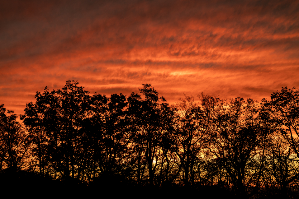 Sunset Clouds