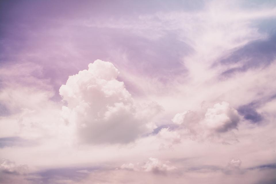 Purple Pink