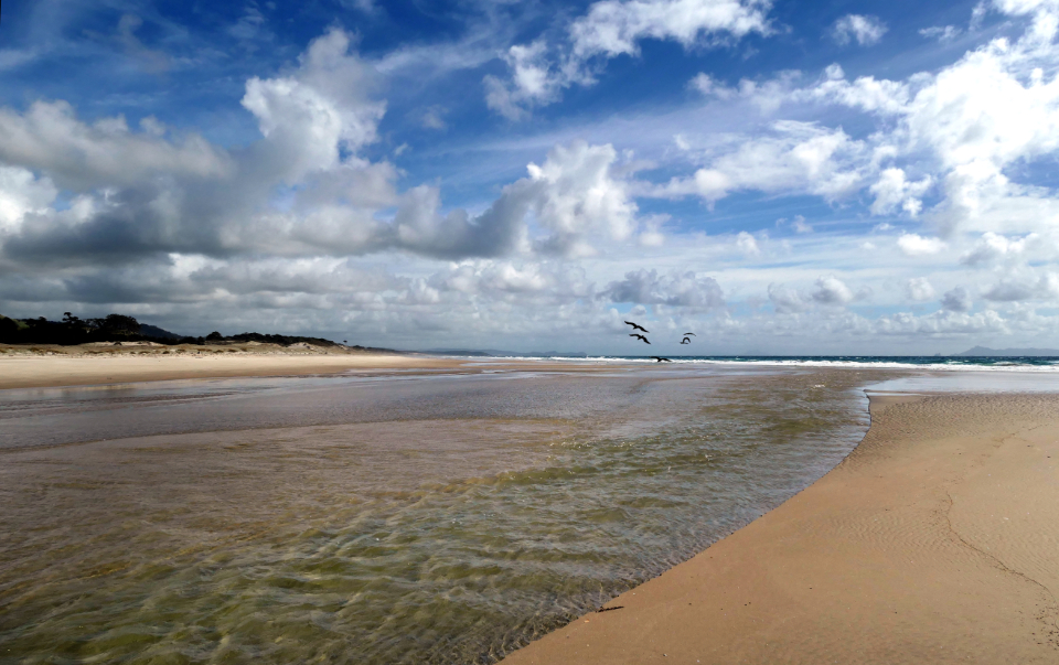 Beach Coast