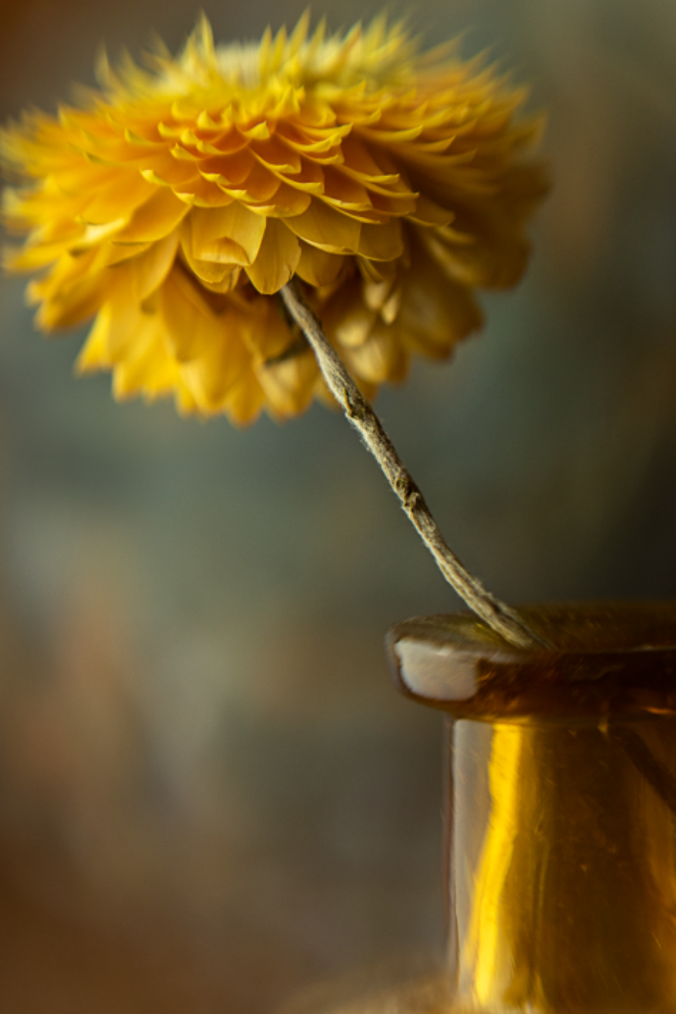 Flower Vase