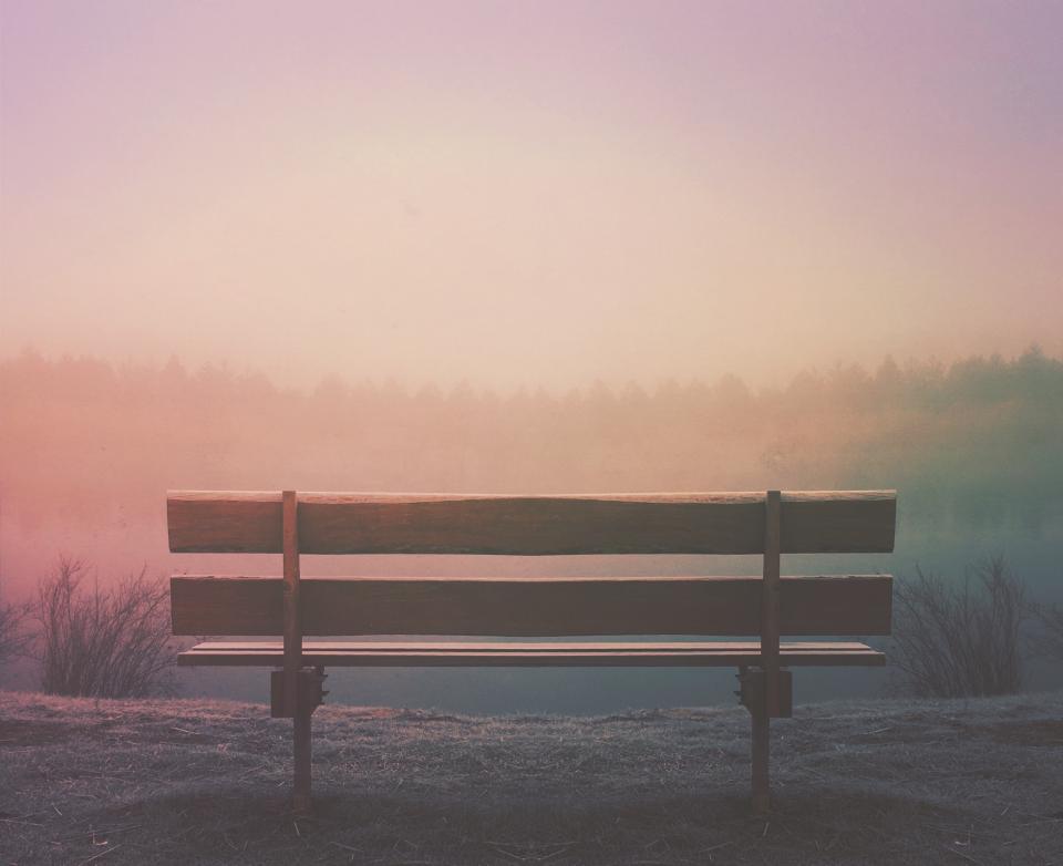 Wood Bench