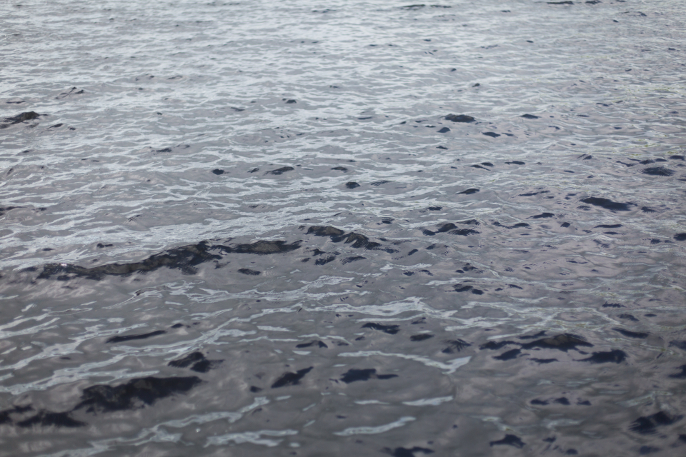 Rippled Water