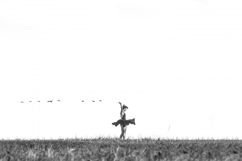 Black And White Grass