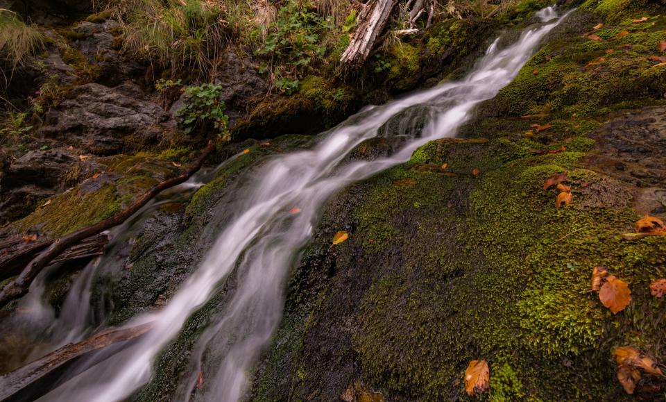 Stream Water