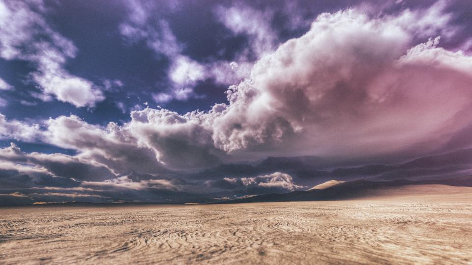 Desert Field