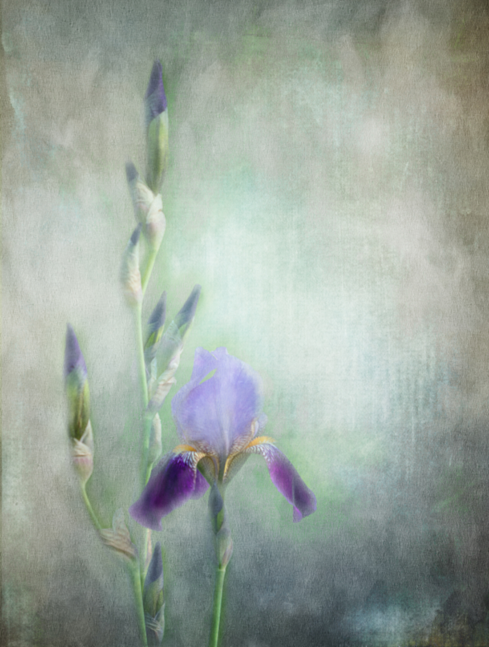 Flower Painting