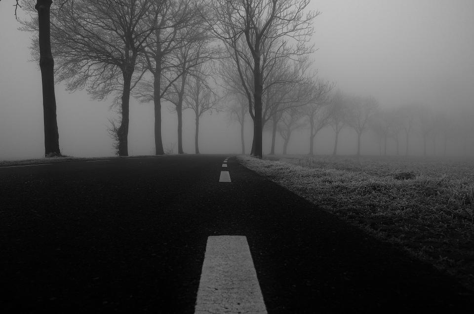 Road Fog