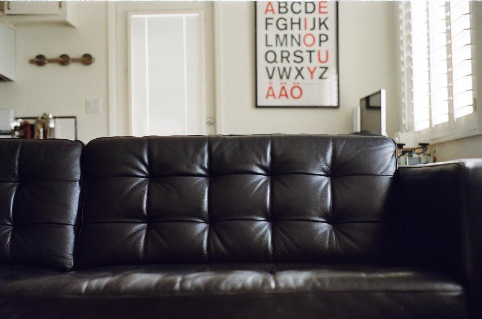 Leather Couch House