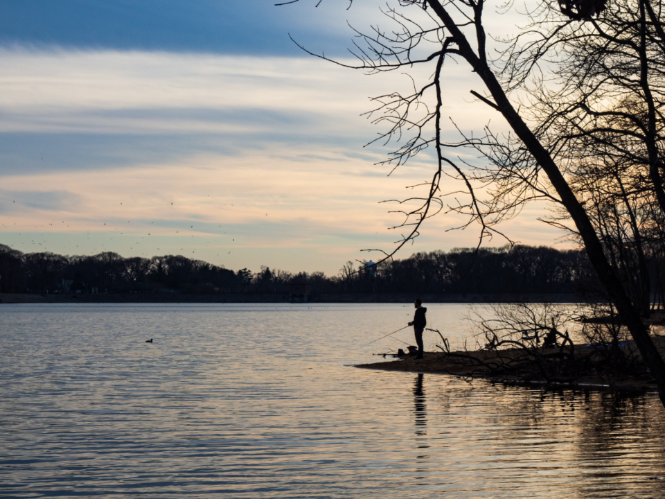 Person Fishing