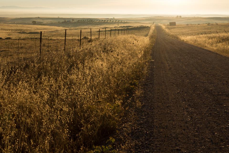 Rural Dirt