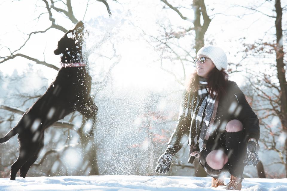 Snow Winter