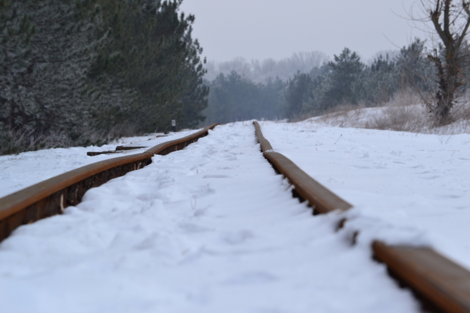 Railway Forest