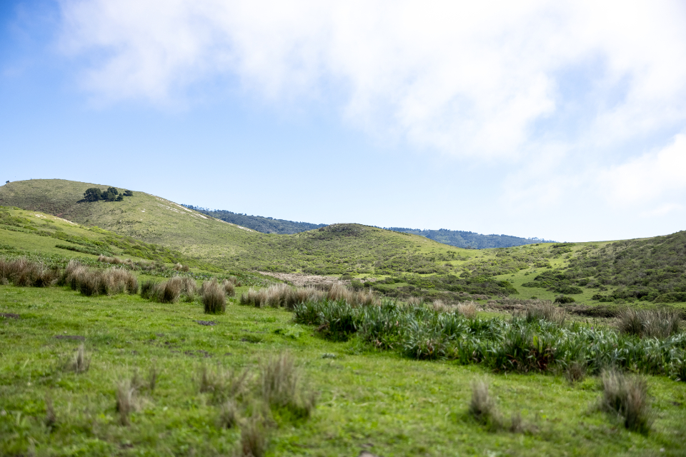 Green Hills