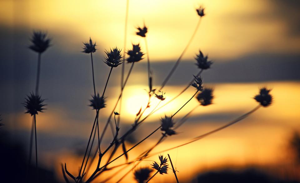Sunset Blur