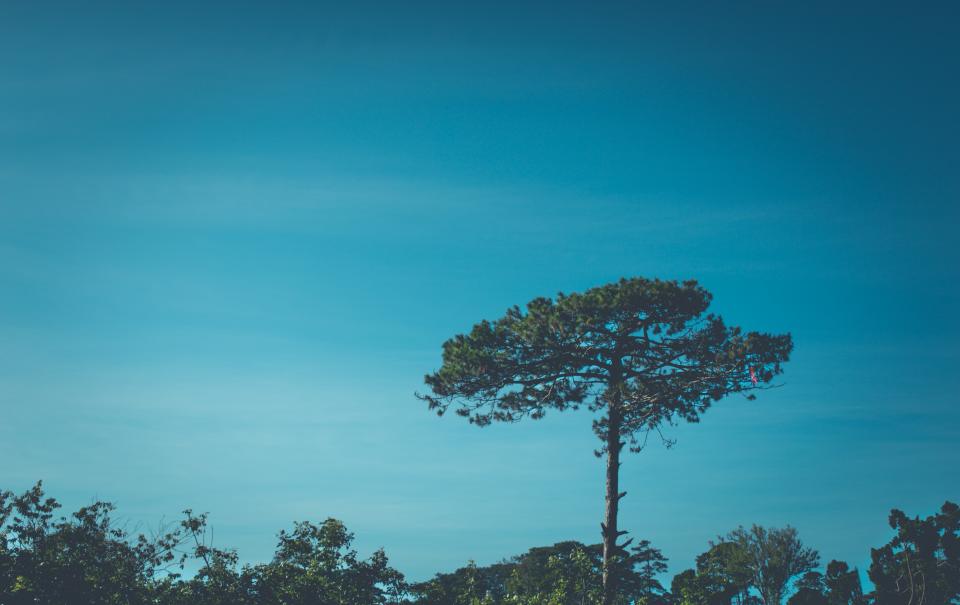 Blue Sky