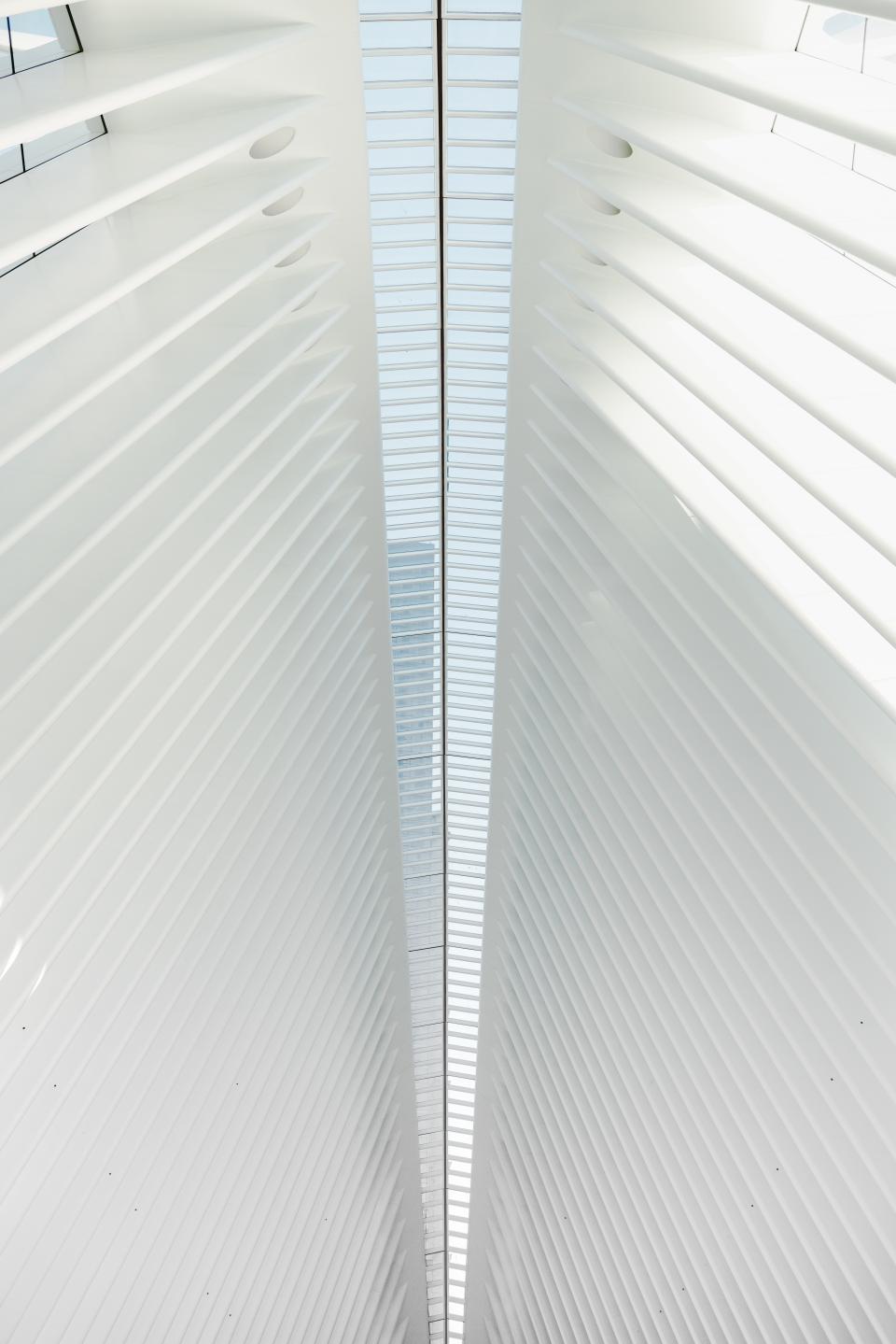 Architecture Building