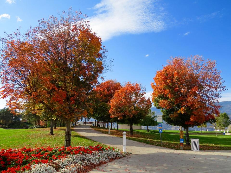 Park Green