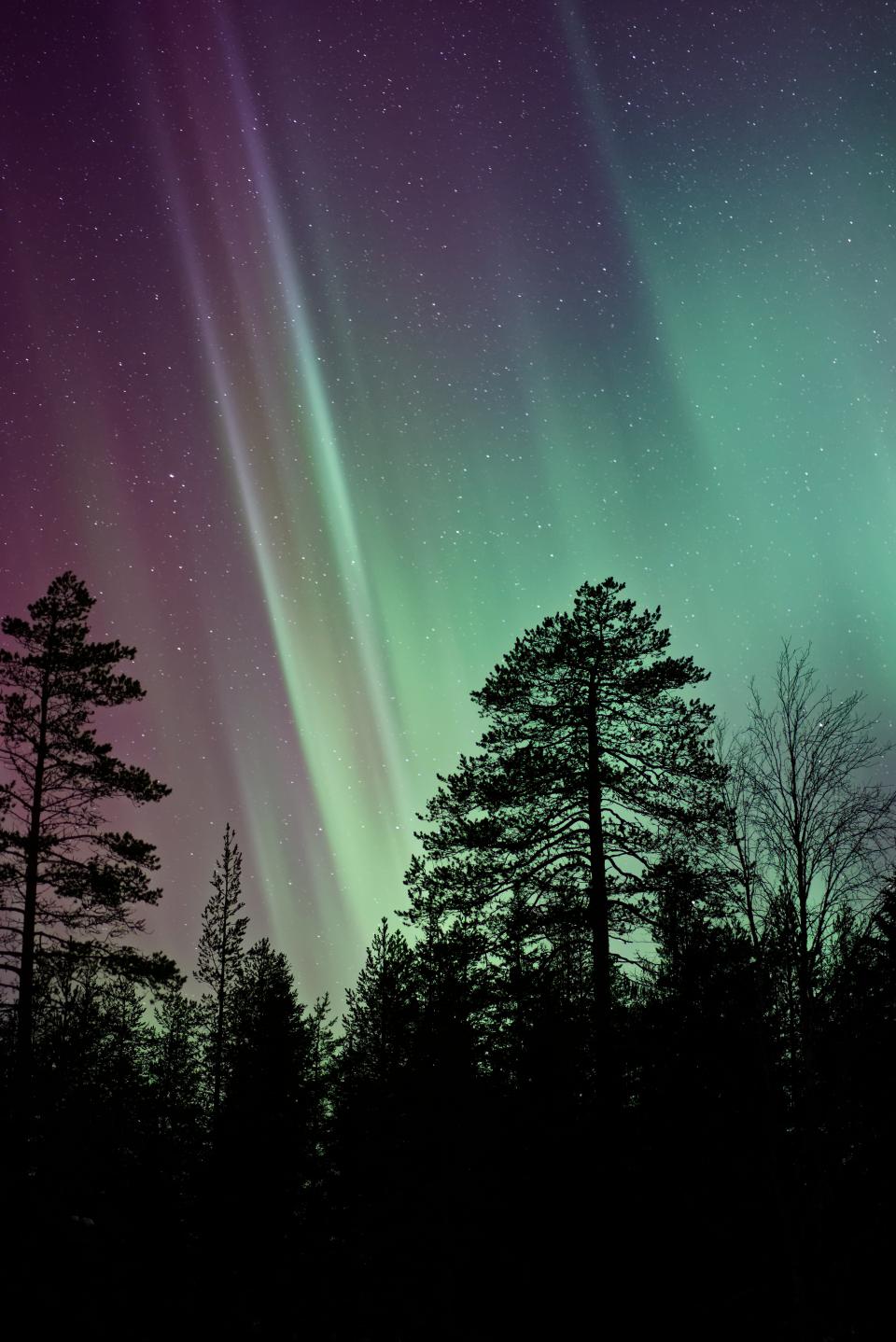 Aurora Green