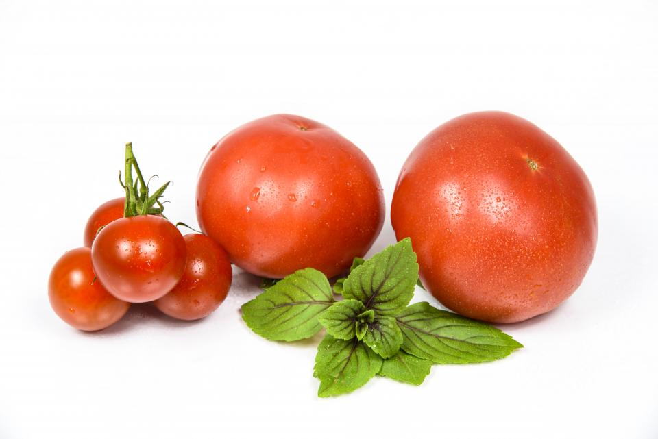 Tomato Crops