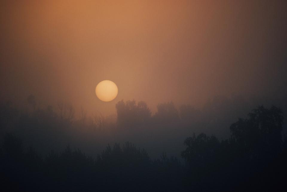 Sunrise Morning