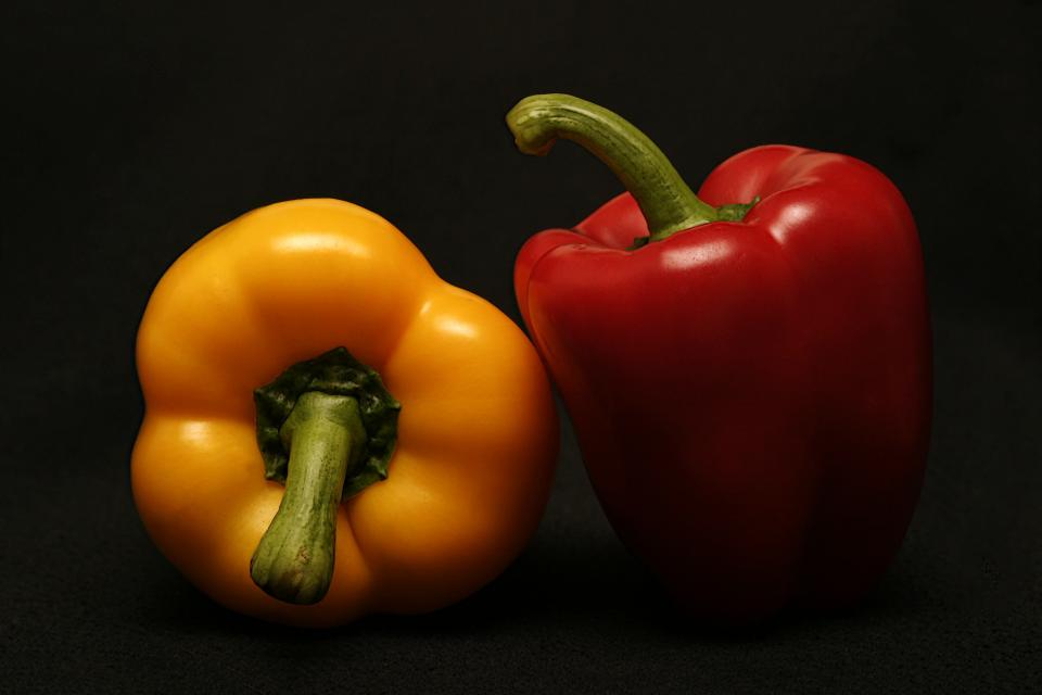 Food Cook
