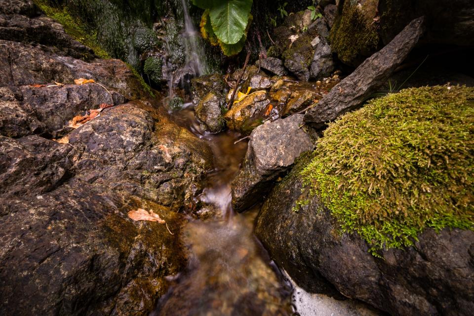 Stream Water