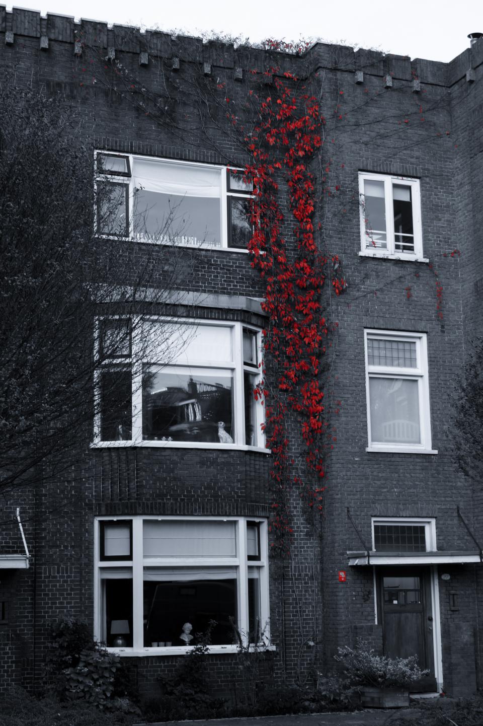 Red Vines