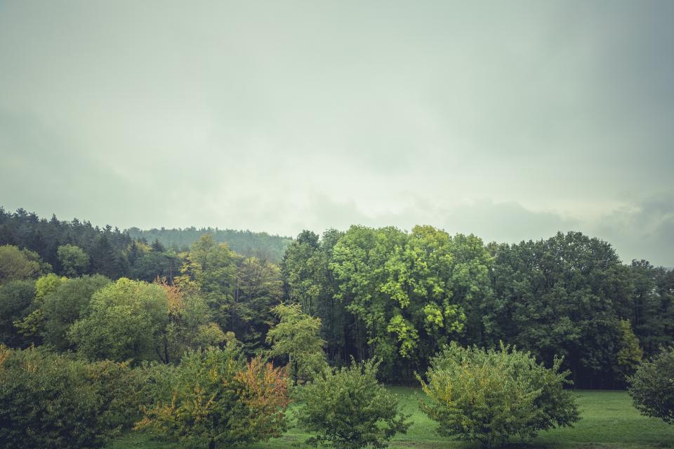 Nature Landscape