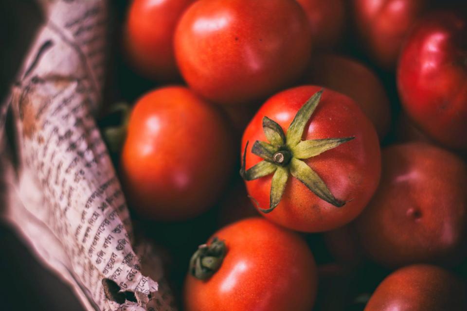 Tomato Crops
