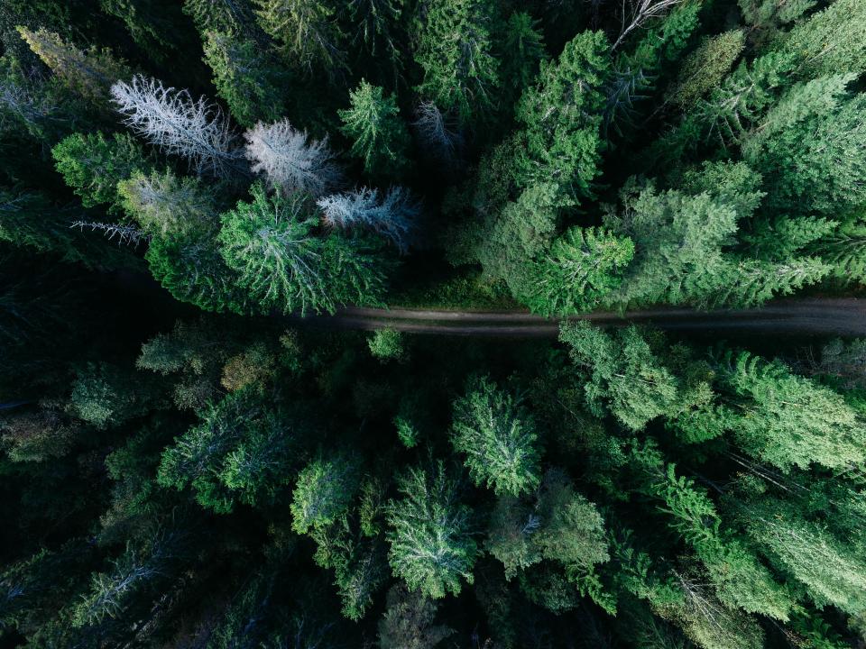 Road Green