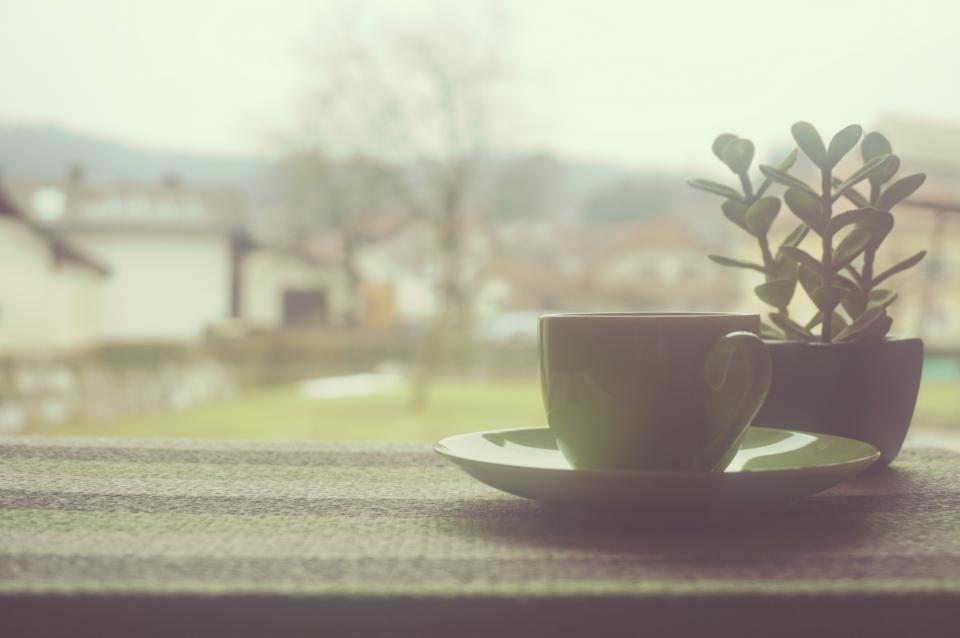 Coffee Cup