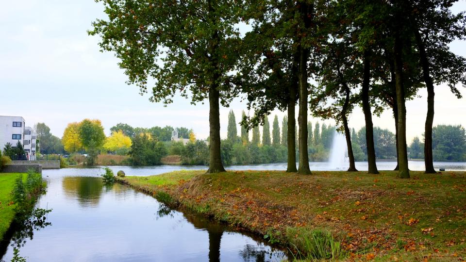 Nature Landscape